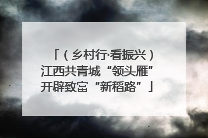 （乡村行·看振兴）江西共青城“领头雁”开辟致富“新稻路”