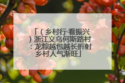 （乡村行·看振兴）浙江义乌何斯路村：龙粽越包越长折射乡村人气渐旺