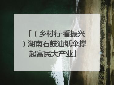 （乡村行·看振兴）湖南石鼓油纸伞撑起富民大产业