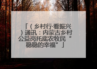 （乡村行·看振兴）通讯：内蒙古乡村公益岗托底农牧民“稳稳的幸福”