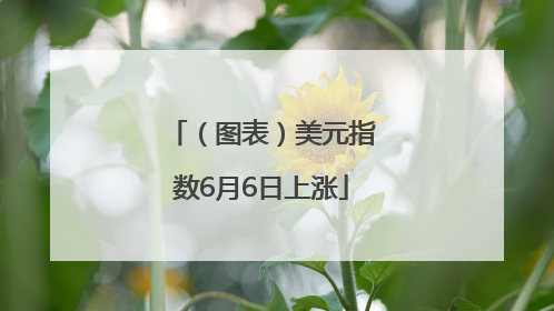 （图表）美元指数6月6日上涨
