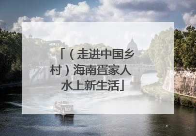 （走进中国乡村）海南疍家人 水上新生活