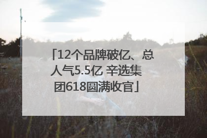 12个品牌破亿、总人气5.5亿 辛选集团618圆满收官