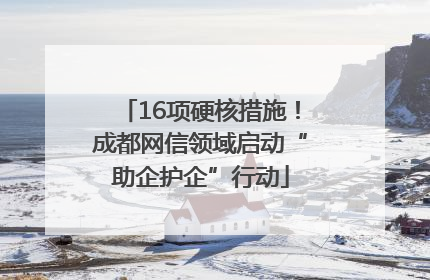 16项硬核措施！成都网信领域启动“助企护企”行动