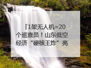 1架无人机=20个巡查员！山东低空经济“硬核王炸”亮相青岛，下一个万亿赛道藏在这里