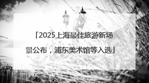 2025上海最佳旅游新场景公布，浦东美术馆等入选