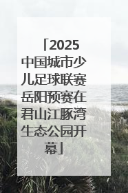 2025中国城市少儿足球联赛岳阳预赛在君山江豚湾生态公园开幕
