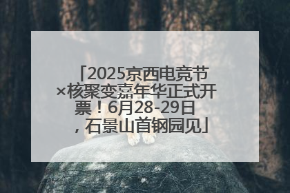 2025京西电竞节×核聚变嘉年华正式开票！6月28-29日，石景山首钢园见