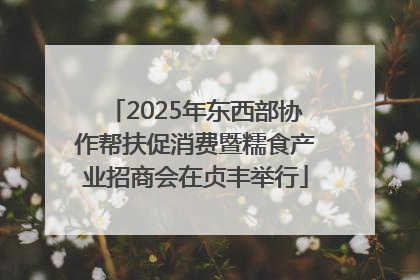 2025年东西部协作帮扶促消费暨糯食产业招商会在贞丰举行