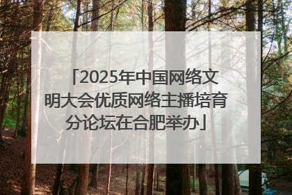 2025年中国网络文明大会优质网络主播培育分论坛在合肥举办