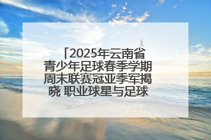 2025年云南省青少年足球春季学期周末联赛冠亚季军揭晓 职业球星与足球小将共享荣耀时刻