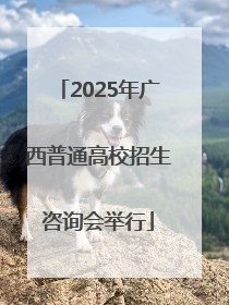 2025年广西普通高校招生咨询会举行