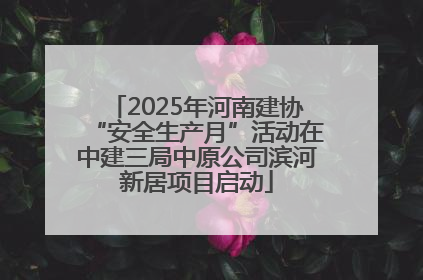2025年河南建协“安全生产月”活动在中建三局中原公司滨河新居项目启动