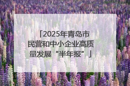 2025年青岛市民营和中小企业高质量发展“半年报”