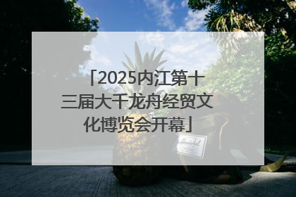 2025内江第十三届大千龙舟经贸文化博览会开幕
