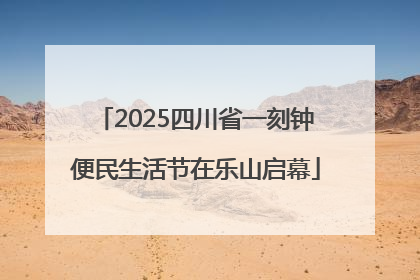 2025四川省一刻钟便民生活节在乐山启幕