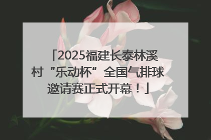 2025福建长泰林溪村“乐动杯”全国气排球邀请赛正式开幕！