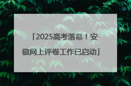 2025高考落幕！安徽网上评卷工作已启动