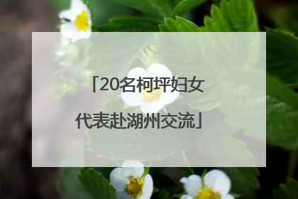 20名柯坪妇女代表赴湖州交流