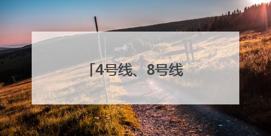 4号线、8号线、云巴，这些轨道线路有了新进展