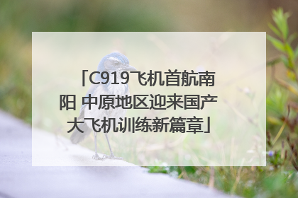 C919飞机首航南阳 中原地区迎来国产大飞机训练新篇章
