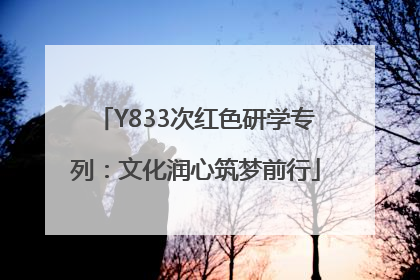 Y833次红色研学专列：文化润心筑梦前行